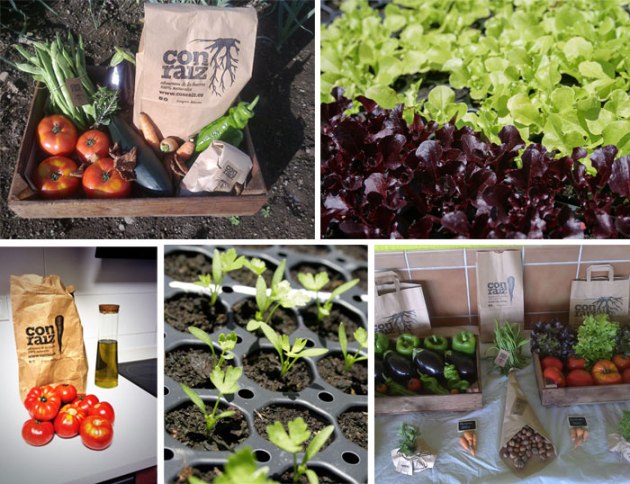 innovasturias_con_raiz