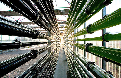 Foto Biorreactor por Microphyt. (CC BY-NC-SA 2.0) https://www.flickr.com/photos/microphyt/6129739361/in/photostream/ 